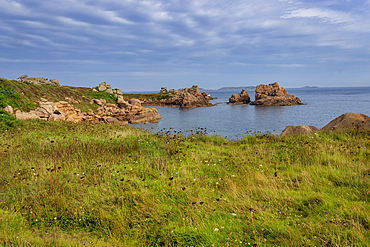 Pink Granite Coast (Cote de Granit Rose), Ploumanac'h, Perros-Guirec, Cotes-d'Armor, Brittany, France, Europe