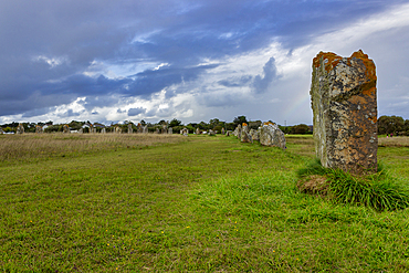 Alignements de Lagatjar, pre-historic standing stones, Camaret-sur-Mer, Finistere, Brittany, France, Europe