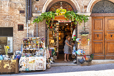 Typical souvenir shop, Old Town, Urbino, Marche, Italy, Europe