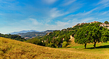 The landscape with the colors of summer around the city of Urbino, Urbino, Marche, Italy, Europe