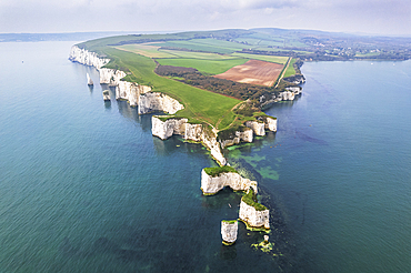 Aerial view of the white cliffs of Old Harry Rocks, Jurassic Coast, UNESCO World Heritage Site, Studland, Dorset, England, United Kingdom, Europe