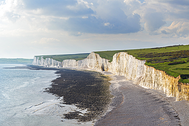 Birling Gap beach, Seven Sisters chalk cliffs, South Downs National Park, East Sussex, England, United Kingdom, Europe