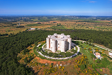 Aerial view of the white octagonal castle of Castel del Monte rising in the middle of the countryside, UNESCO World Heritage Site, Apulia, Italy, Europe