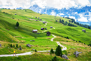 Hiker on footpath among green fields and wooden huts, Sass de Putia, Passo delle Erbe, Dolomites, South Tyrol, Italy, Europe