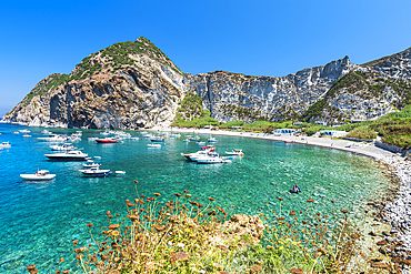 Palmarola bay with boats in crystal clear water, Palmarola island, Ponza municipality, Tyrrhenian sea, Pontine archipelago, Latina Province, Latium (Lazio), Italy, Europe