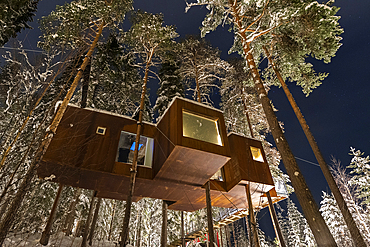 Night view of a suspended wooden cottage in the forest covered with snow, Harads, Lapland, Sweden, Scandinavia, Europe