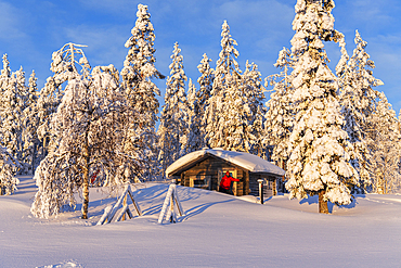 Tourist in the early morning sun stands in front of an isolated chalet in the snowy forest, Norrbotten, Swedish Lapland, Sweden, Scandinavia, Europe