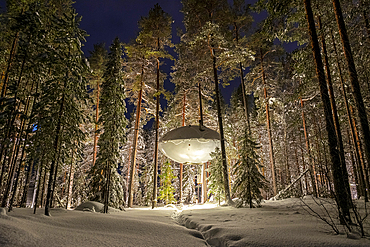 Illuminated UFO shaped room in the frozen forest covered with snow, winter view, Swedish Lapland, Harads, Sweden, Scandinavia, Scandinavia, Europe