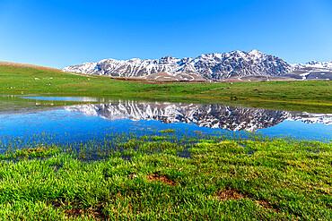 Spring thaw with lake reflection on the Campo Imperatore Plateau, Gran Sasso National Park, Apennines, Abruzzo, Italy, Europe