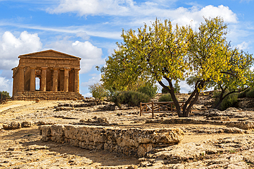 The Temple of Concordia against blue sky, Valley of the Temples, UNESCO World Heritage Site, Agrigento, Sicily, Italy, Mediterranean, Europe