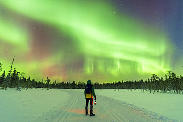 Man with lantern in the winter night walking an empty icy road while admiring Northern Lights (Aurora Borealis), Akaslompolo, Pallas-Yllastunturi National Park, Kolari municipality, Finnish Lapland, Finland, Europe