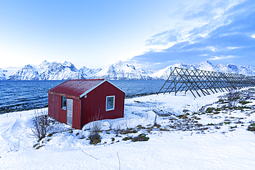 Lone red typical rorbu in the snowy arctic landscape by the fjord at dawn, Djupvik, Olderdalen, Lyngen fjord, Lyngen Alps, Troms og Finnmark, Norway, Scandinavia, Europe