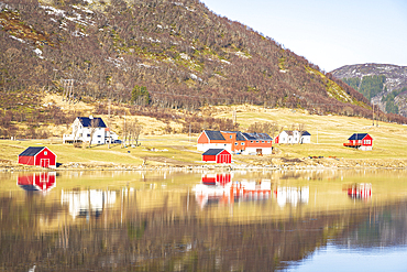 Rural scene of typical buildings and wooden hills by the fjord with their reflection in the water, Leknes, Lofoten Islands, Norway, Scandinavia, Europe