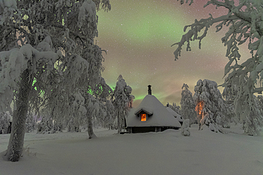 Typical wooden illuminated hut under the Northern Lights (Aurora Borealis) in the frosty forest with trees covered with snow, Pallas-Yllastunturi National Park, Muonio, Lapland, Finland, Europe