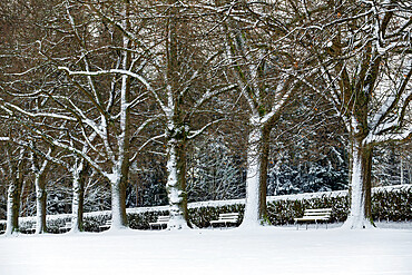 Park bench after snow dusting in downtown Vancouver. Vancouver, Canada