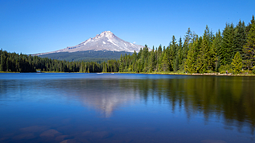 Trillium Lake view of Mount Hood, Oregon, United States of America, North America