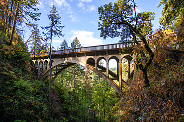 Bridge along Columbia River Highway, Oregon, United States of America, North America