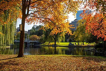 Autumn in Boston's Public Garden