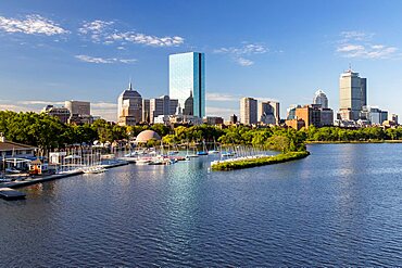 Summer Morning at the Charles River Esplanade