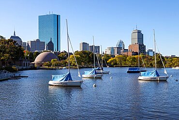 Sailboats at the Charles River Esplanade