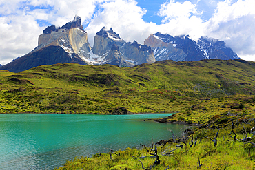 Torres del Paine, National Park, Patagonia, Chile