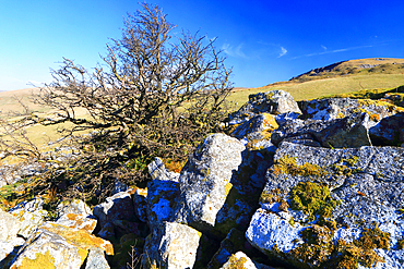 Black Mountain, South Wales