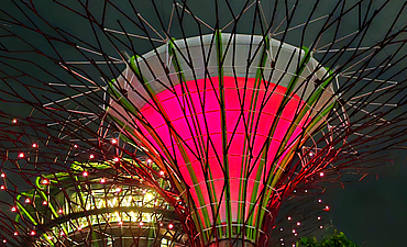 Gardens By The Bay light show, Singapore