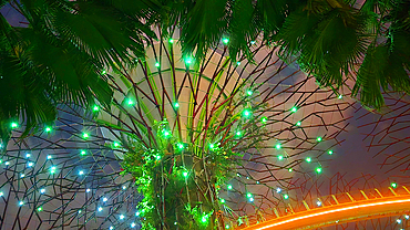 Gardens By The Bay light show, Singapore