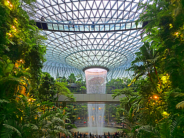 Jewel Changi Airport (interior gardens), Singapore