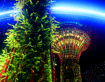Lightshow, The Gardens by the Bay, Singapore