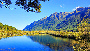 Mirror Lakes, near Milford, South Island, New Zealand