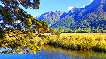 Mirror Lakes, near Milford, South Island, New Zealand