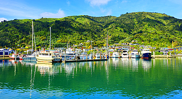 Picton Marina, South Island, New Zealand