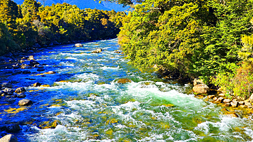 River valley, South Island, New Zealand