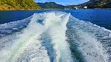 Marlborough Sound, South Island, New Zealand