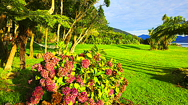 Furneaux Lodge, Marlborough Sound, South Island, New Zealand