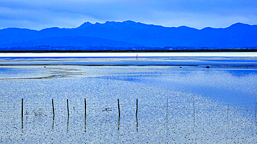 Tasman Bay from Nelson, South Island, New Zealand
