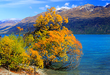 Lake Wakatipu in autumn, near Queenstown, South island, New Zealand