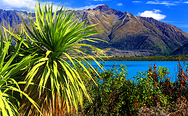 Lake Wakatipu in autumn, near Queenstown, South island, New Zealand