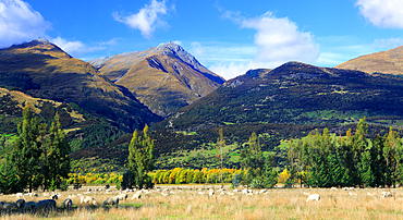 Mountains above Glenorchy, near Queenstown, South Island, New Zealand