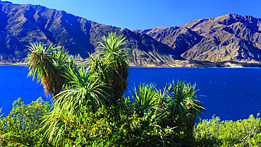 Lake Wanaka, South Island, New Zealand