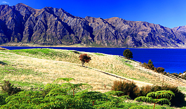 Lake Hawea, Near Wanaka, South island, New Zealand