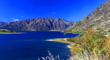 Lake Hawea, Near Wanaka, South island, New Zealand