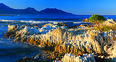 Limestone outcrops, Tasman By near Nelson, South Island, New Zealand