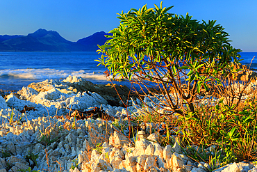 Limestone outcrops, Tasman By near Nelson, South Island, New Zealand