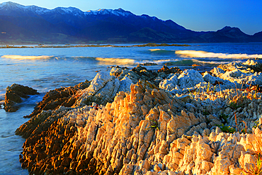 Limestone outcrops, Tasman By near Nelson, South Island, New Zealand