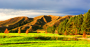 South Island, New Zealand