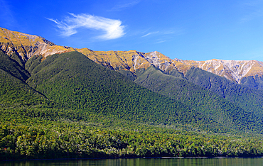 Lake Rotoiti, South Island, New Zealand