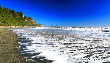 Near Great Coast Road, West Coast, South Island, New Zealand