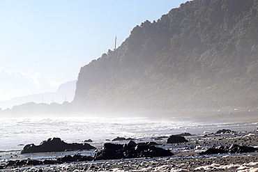 Near Great Coast Road, West Coast, South Island, New Zealand